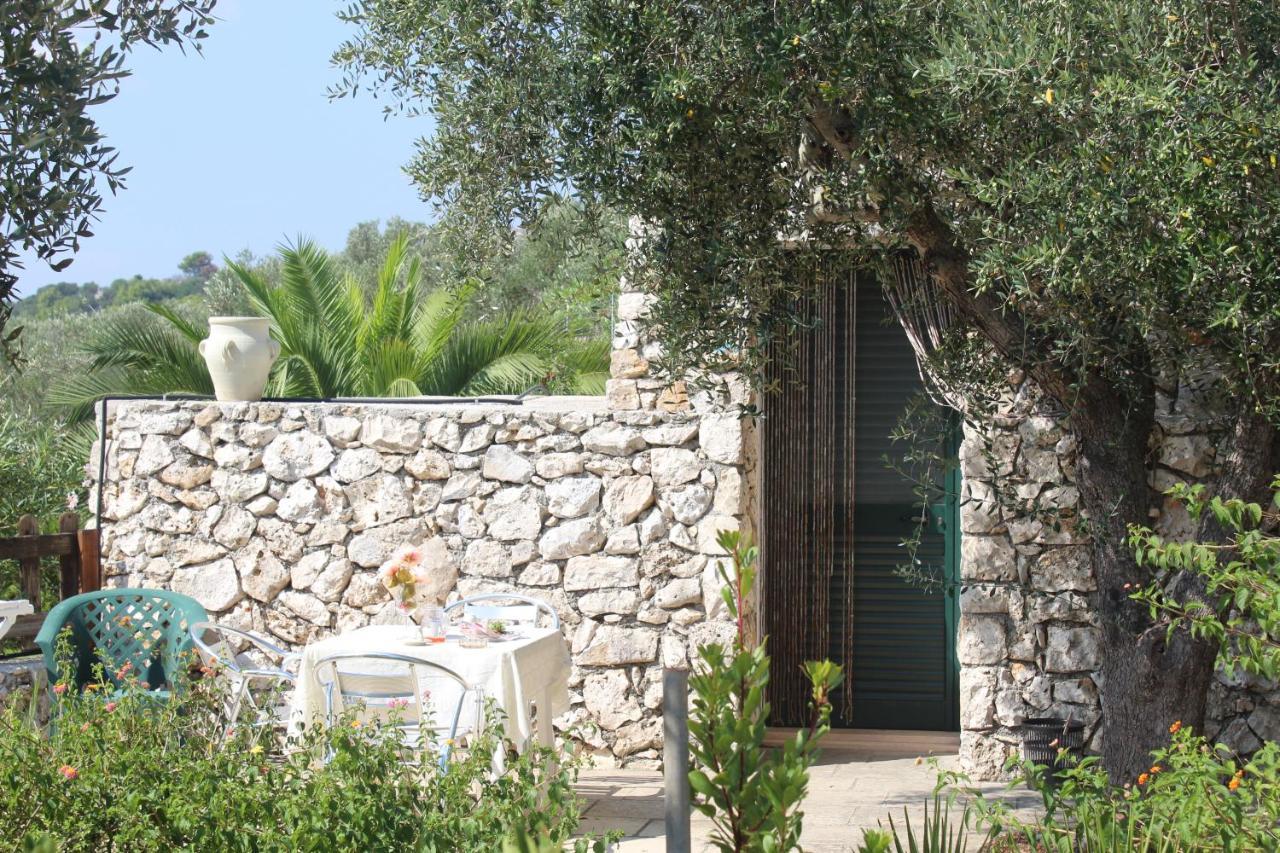 Amoru Bed & Breakfast Castro  Eksteriør bilde